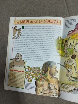 Dos libros infantiles.