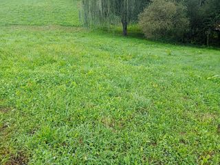 Desbroce de fincas y jardines
