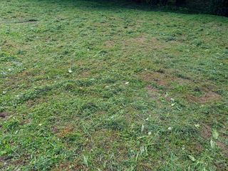 Desbroce de fincas y jardines