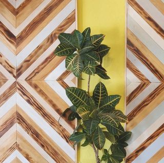 VIDGIS: Mosaico cuadro de madera