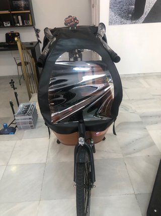 bicicleta de carga electrica