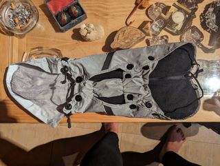 Chubasquero de perro de la talla 30