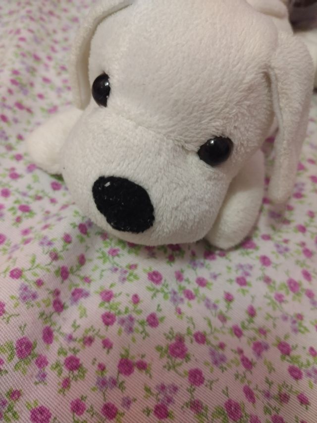 Peluche cane bianco
