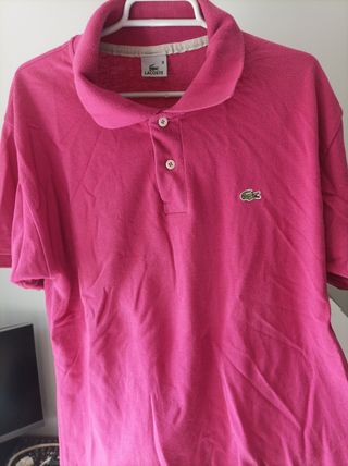 Polito lacoste