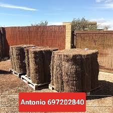 Instalación y venta de brezo BRUC