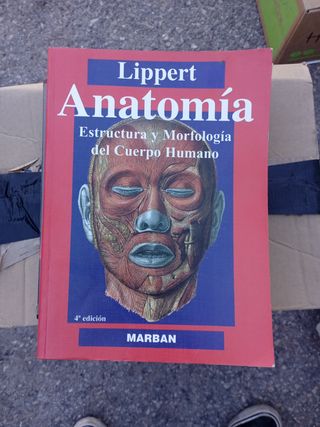 Anatomía Lippert