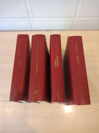 Diccionario Euskera Txillardegi