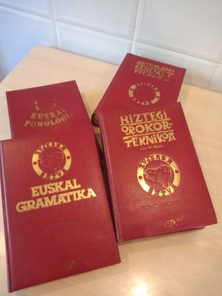 Diccionario Euskera Txillardegi