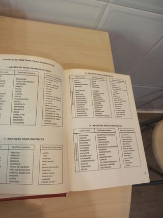 Diccionario Euskera Txillardegi