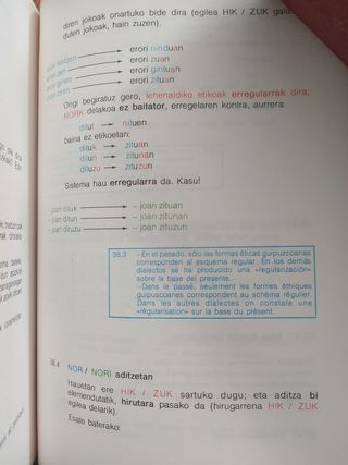 Diccionario Euskera Txillardegi