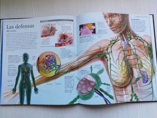 El cuerpo humano Larousse InSiders