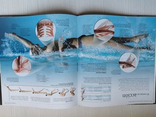 El cuerpo humano Larousse InSiders