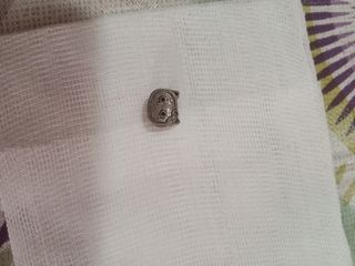 charm Pandora 