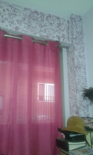Pintor Manitas del hogar