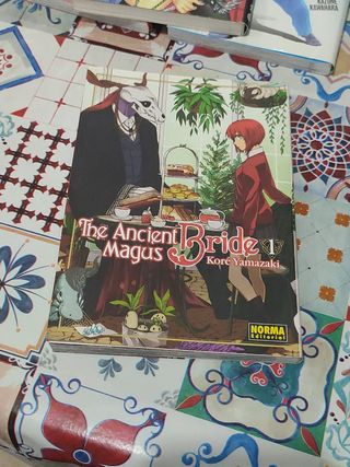 Mangas lote