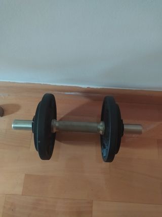 Mancuerna con peso intercambiable 10kg