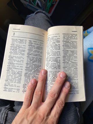 diccionario Italiano-español