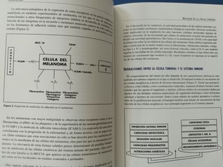 Libro Melanoma Ed. Schering-Plough