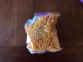 Calentador de cera eléctrico