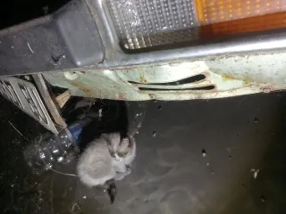 Renault 12 Ts para piezas