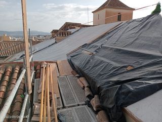 Cubiertas y tejas TLF.651429938