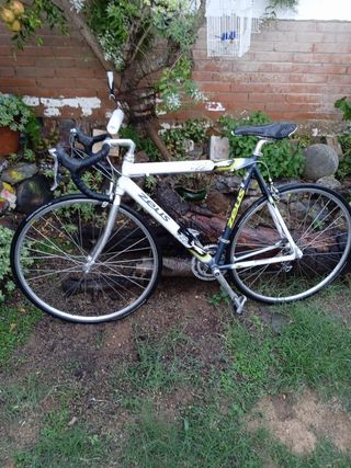 Bicicleta de carretera Zeus