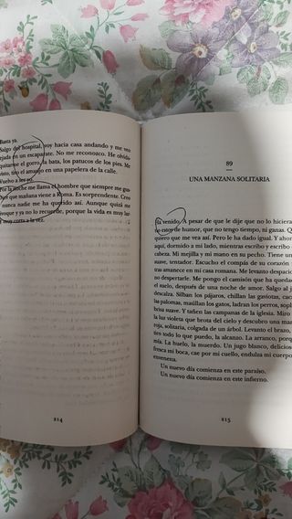 Una mujer y dos gatos