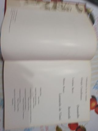 Historia del arte de J. Pijoan Salvat