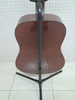 Guitarra acustica