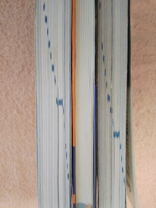 3X2 LOTE (V) 3 GUIAS: BERLIN/ROMA/NUEVA YORK.