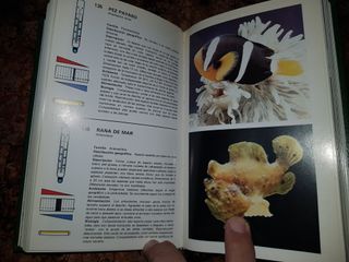 Guía de Peces y Plantas de Acuario