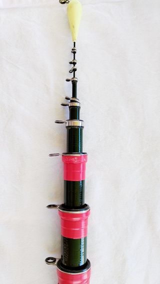 Juego de caña y carrete de pesca