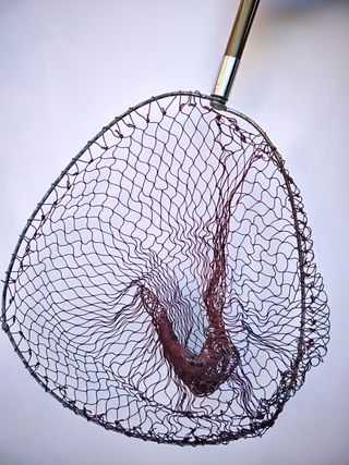 Juego de caña y carrete de pesca