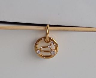 ♌Charm colgante Símbolo del Zodiaco Leo