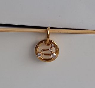 ♌Charm colgante Símbolo del Zodiaco Leo