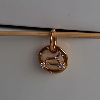 ♌Charm colgante Símbolo del Zodiaco Leo