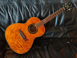 Fender parlor t bucket 300 DESCATALOGADA acústica