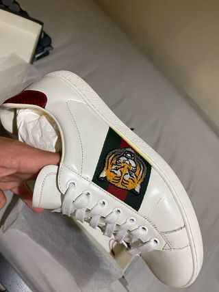 Bambas Gucci 100%100 Orginal