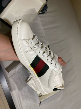 Bambas Gucci 100%100 Orginal