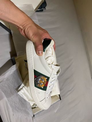 Bambas Gucci 100%100 Orginal