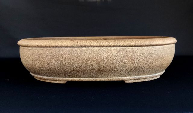 Maceta bonsai japonesa SHUHO