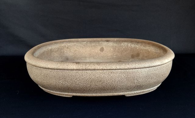 Maceta bonsai japonesa SHUHO