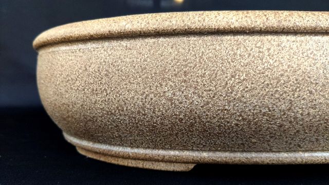 Maceta bonsai japonesa SHUHO