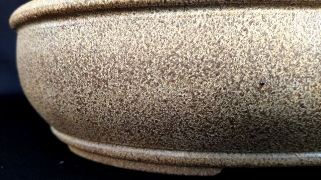 Maceta bonsai japonesa SHUHO