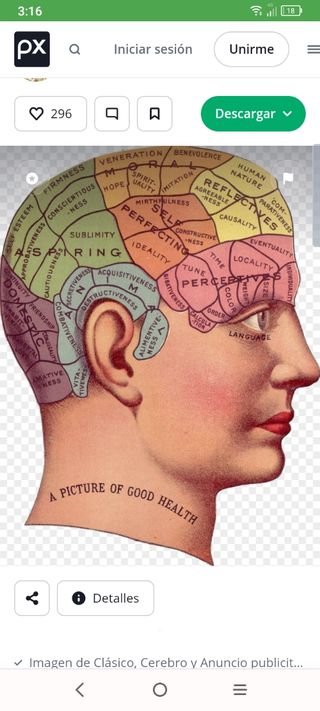 clases particulares de memoria y
