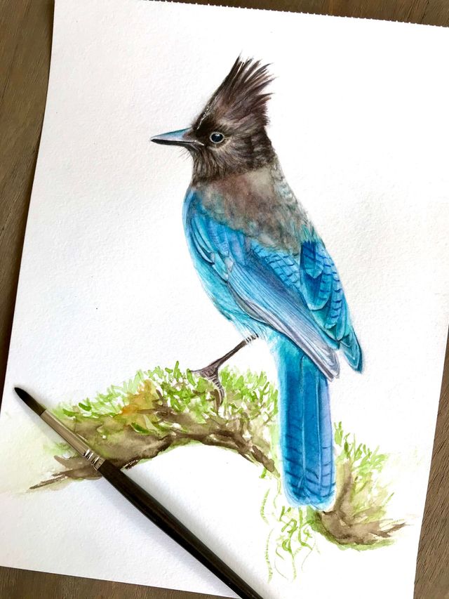 Pintura de pajaro