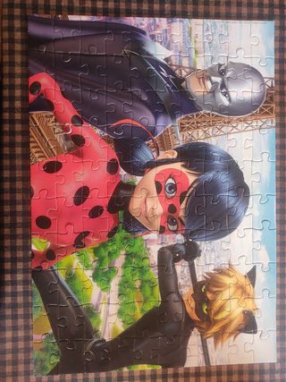 Puzzle ladybug