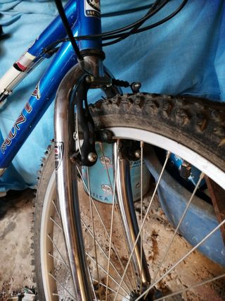 Bicicleta