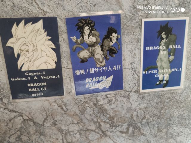 Ramicards Dragon Ball