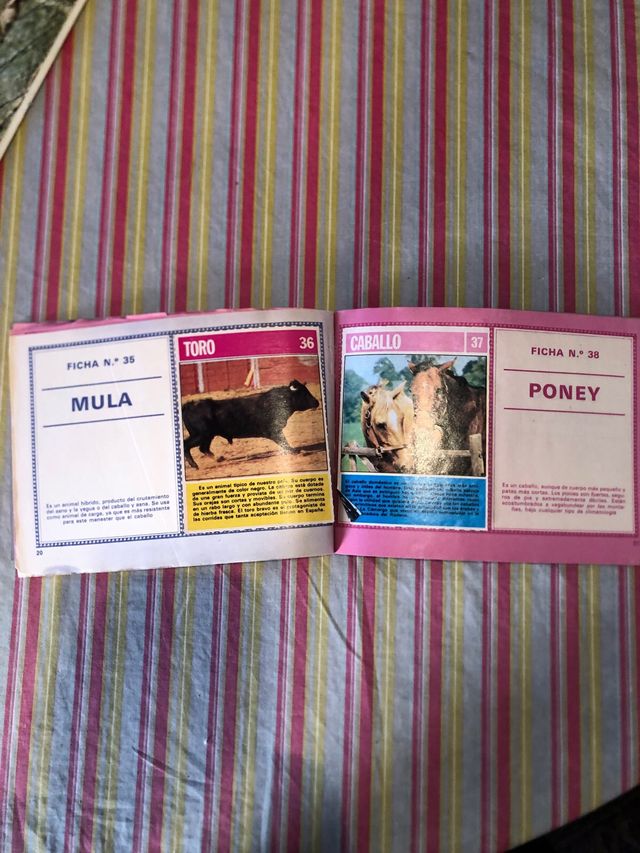 Álbum cromos animales